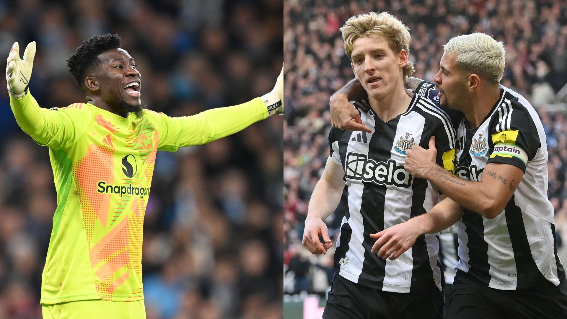 更为未来的 更为未来的