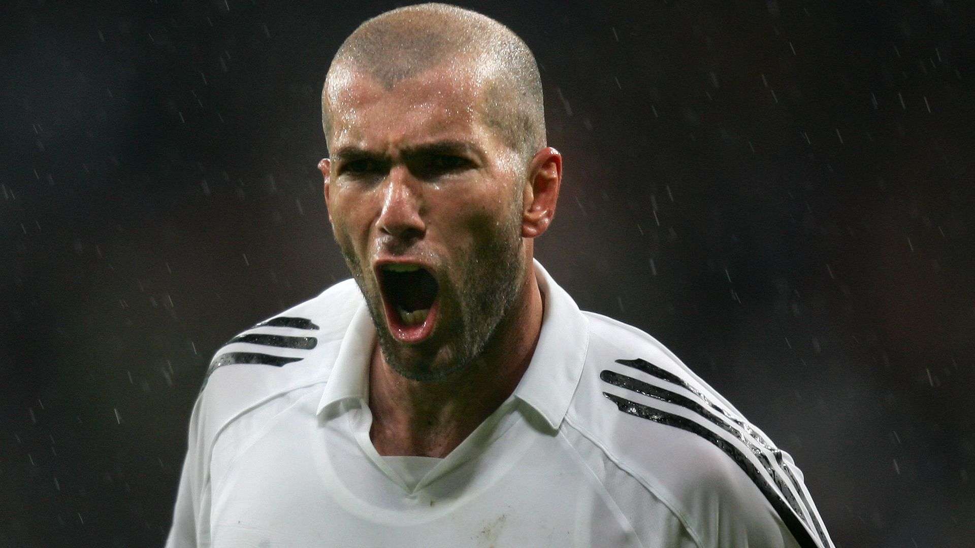 加稳健的防 加稳健的防