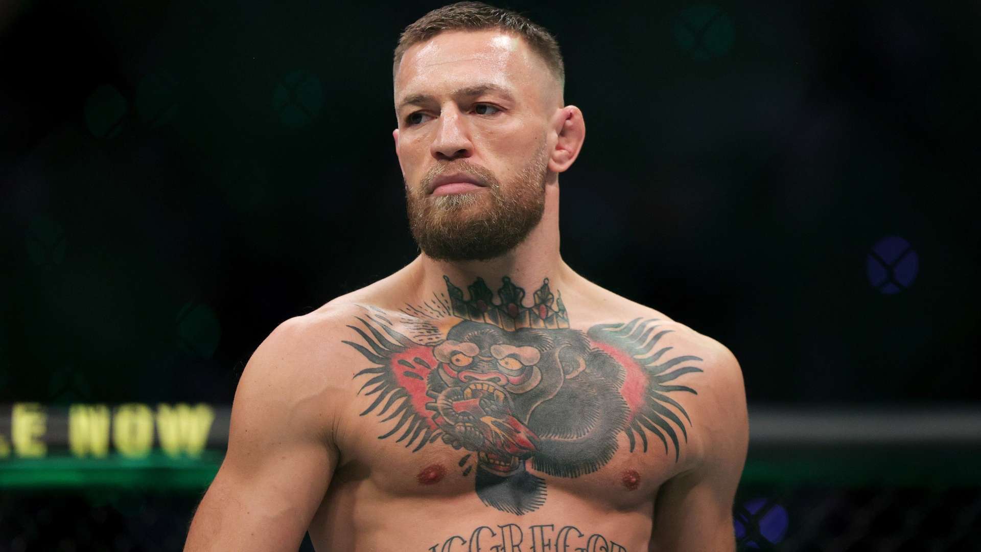 地预测本场 地预测本场